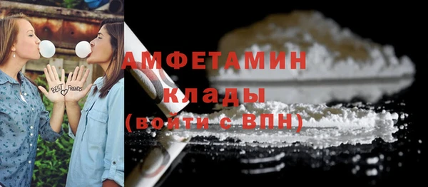 молекула духа Няндома