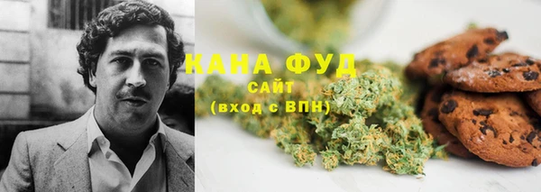 молекула духа Няндома