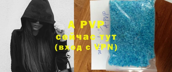 молекула духа Няндома