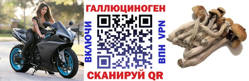Галлюциногенные грибы ЛСД Новопавловск